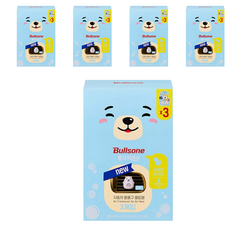 불스원 폴라프레쉬 통풍구 클립형 캐릭터 차량용방향제 부부 3p, 5개, 아쿠아향