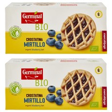 Germinal 유기농 블루베리 타르트, 270g, 2개