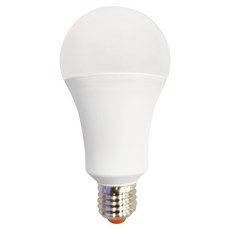 Dr.Bright 亮博士 LED 球泡燈 20W, 黃光, 1個