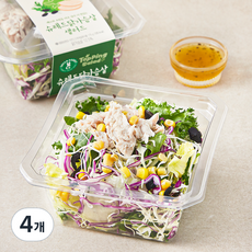 그린래빗 슈레드닭가슴살 샐러드, 175g, 4개