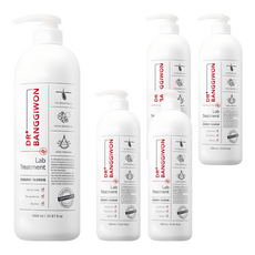 DR BANGGIWON Lab強健髮根護髮乳, 1L, 5瓶