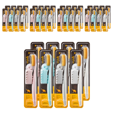 Wangta 更柔軟的黃金牙刷, 1入, 40個