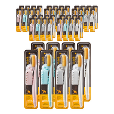 Wangta 更柔軟的黃金牙刷, 1入, 48個