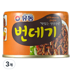 유동 번데기, 130g, 3개
