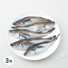 노량진 수산시장 중도매인 90번 도루묵 알배기 생물 5미 (냉장), 3개, 450g