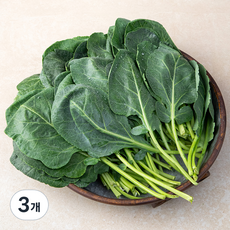 국내산 케일, 2kg, 3개