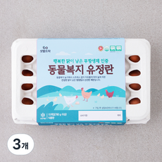 샛별뜨락 동물복지 인증 유정란 780g, 15구, 3개
