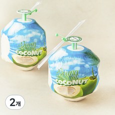 수플린 베트남산 영코코넛, 2개, 1.8kg(2입)