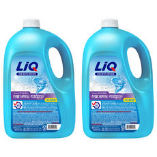 리큐 베이직 일반용 액상세제 본품, 4L, 2개