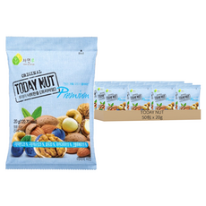 TODAY NUT 綜合堅果 Premium隨身包, 20g, 1組
