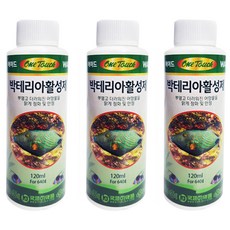 국제프리츠 원터치 박테리아 활성제, 120ml, 3개