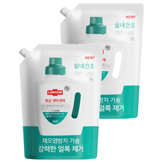 랩신 항균 세탁세제 솔잎향 리필, 1.5L, 2개