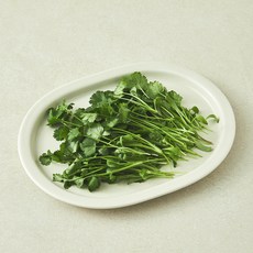 친환경 인증 어린 고수잎, 1개, 30g
