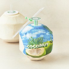 수플린 베트남산 영코코넛, 1개, 900g