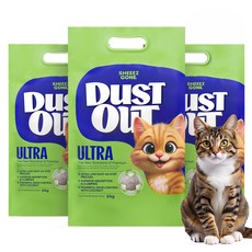 쉬즈곤 고양이 먼지아웃 울트라 벤토나이트 모래, 6kg, 3개, 무향 6kg, 3개, 무향