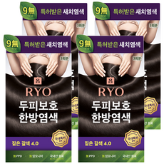 려 자양윤모 새치커버 두피보호 한방 염색제, 4.0 짙은갈색, 4개