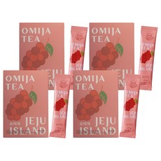 제주담움 오미자 스틱, 25g, 10개입, 4개
