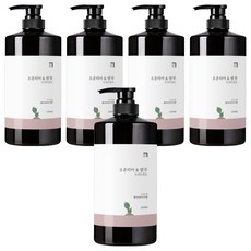 Homekeeping 仙人掌竹子護髮素 尤加利樹香, 1L, 5個