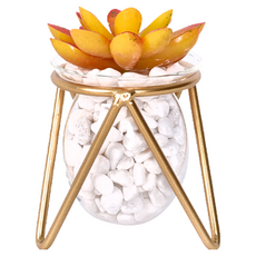 éclat 匠心花藝 玻璃金工室內藝術擺飾仿真花藝組 (含白石), 黃寶石花, 1組