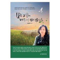 Gaonmidieo 我沒有停留在過去的那一天, 崔春愛