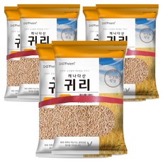 대구농산 귀리쌀, 4kg, 6개