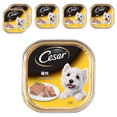 Cesar 西莎 精緻餐盒 狗罐頭, 雞肉, 100g, 6罐
