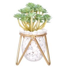 éclat 匠心花藝 玻璃金工室內藝術擺飾仿真花藝組 - 紅寶石花/黃寶石花/空氣鳳梨/玫瑰蘆薈/仙人指/小仙人, 1組