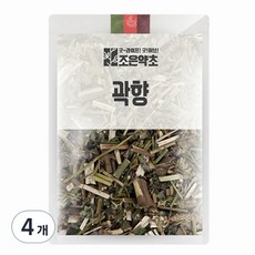 조은약초 곽향, 100g, 4개