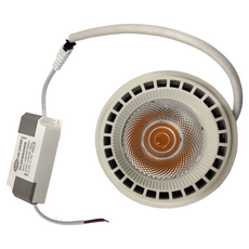 KAO'S 高氏 KD11-015Y 光源 AR-111 COB LED 15W 3000K, 黃光, 1個