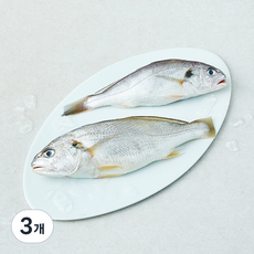 어성 백조기 생물 2미 (냉장), 3개, 300g