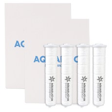 아쿠아듀오 모닝글로리 샤워기 필터 4p, 2개