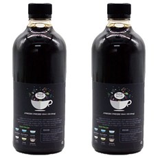 그때 콜롬비아 수프리모 더치커피, 500ml, 2개