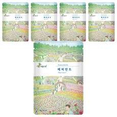 아름드레 프리미엄 삼각티백 페퍼민트, 1.1g, 25개입, 5개