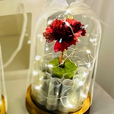 LOVELY FARM 永生花玻璃罩氣氛燈, 紅色