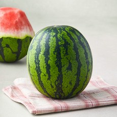 광식이농장 애플수박, 1kg 미만, 1개