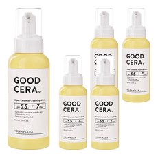 홀리카홀리카 굳세라 수퍼 세라마이드 포밍워시, 160ml, 5개