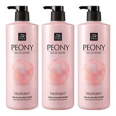미쟝센 펄 샤이닝 리페어 트리트먼트 피오니향, 1L, 3개