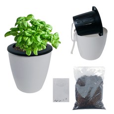 바질 키우기 세트