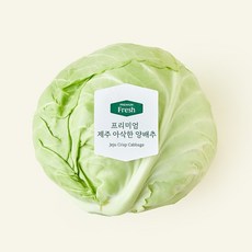 프리미엄 제주 아삭한 양배추, 1kg, 1개, 1개입