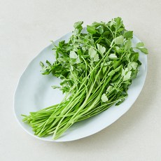 밭미나리, 1개, 200g