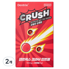 덴트릭스 크러쉬 민트볼 구강세정제, 2g, 2개