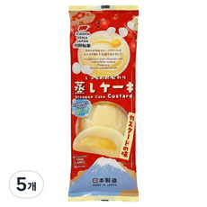 이치오카세이카 촉촉 스팀케이크 커스터드맛, 160g, 5개