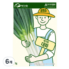 아시아종묘 대파 씨앗 3g, 6개