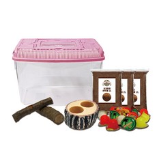 펫츠핸들러 장수풍뎅이 다용도 채집통 사육세트, 1세트