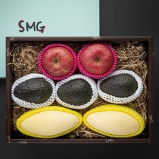 좋은하루 산지직송 특별한 과일 선물세트 C 사과 + 노란망고 + 아보카도, 2kg, 1세트