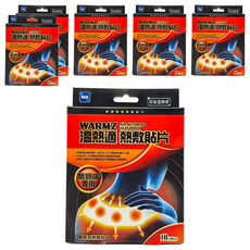 WARMZ 溫熱適 熱敷貼片 加大腰部專用, 6個