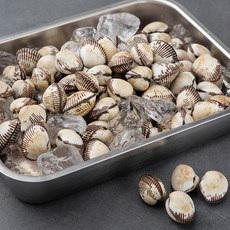 바다자리 국산 생물 새꼬막, 1kg, 1개