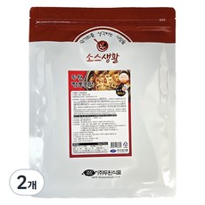 소스생활 짬뽕 분말 소스, 1kg, 2개