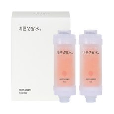 바른생활수 비타민 샤워필터, 2개, 피치
