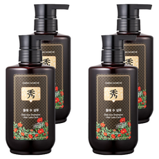 댕기머리 오리지널 들애수 샴푸액, 500ml, 4개